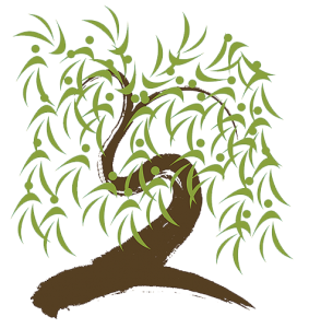 Willow tree illustration